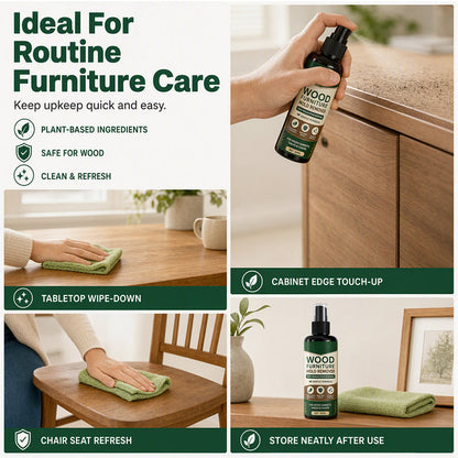 Multi-Surface Wood Furniture Mold Remover Spray