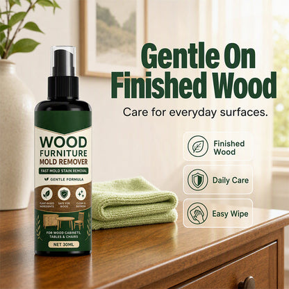 Multi-Surface Wood Furniture Mold Remover Spray