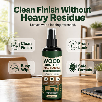 Multi-Surface Wood Furniture Mold Remover Spray
