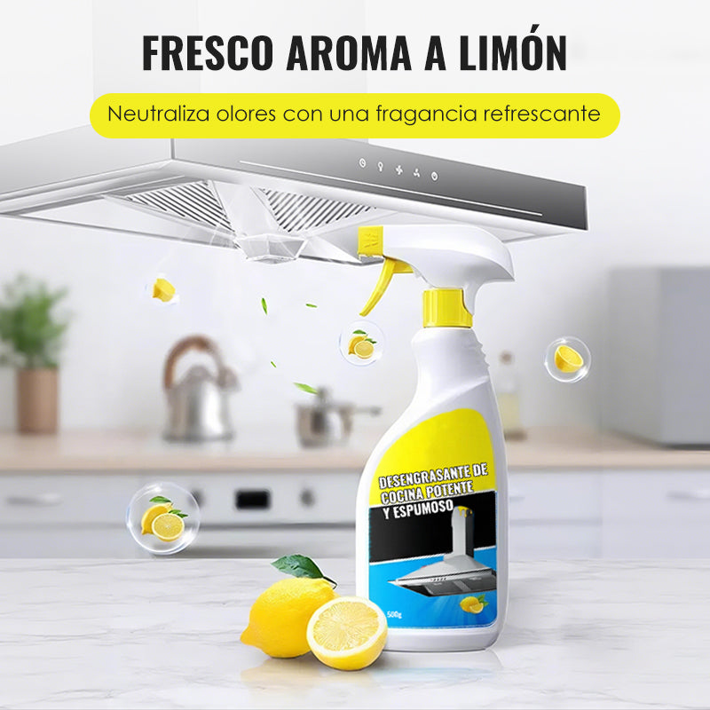 Powerful and Foaming Kitchen Degreaser