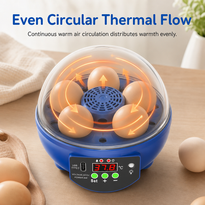 USB Automatic Egg Incubator – auto egg turning, even heat circulation, quiet & clear view. Hatch chicks, ducks & quails at home